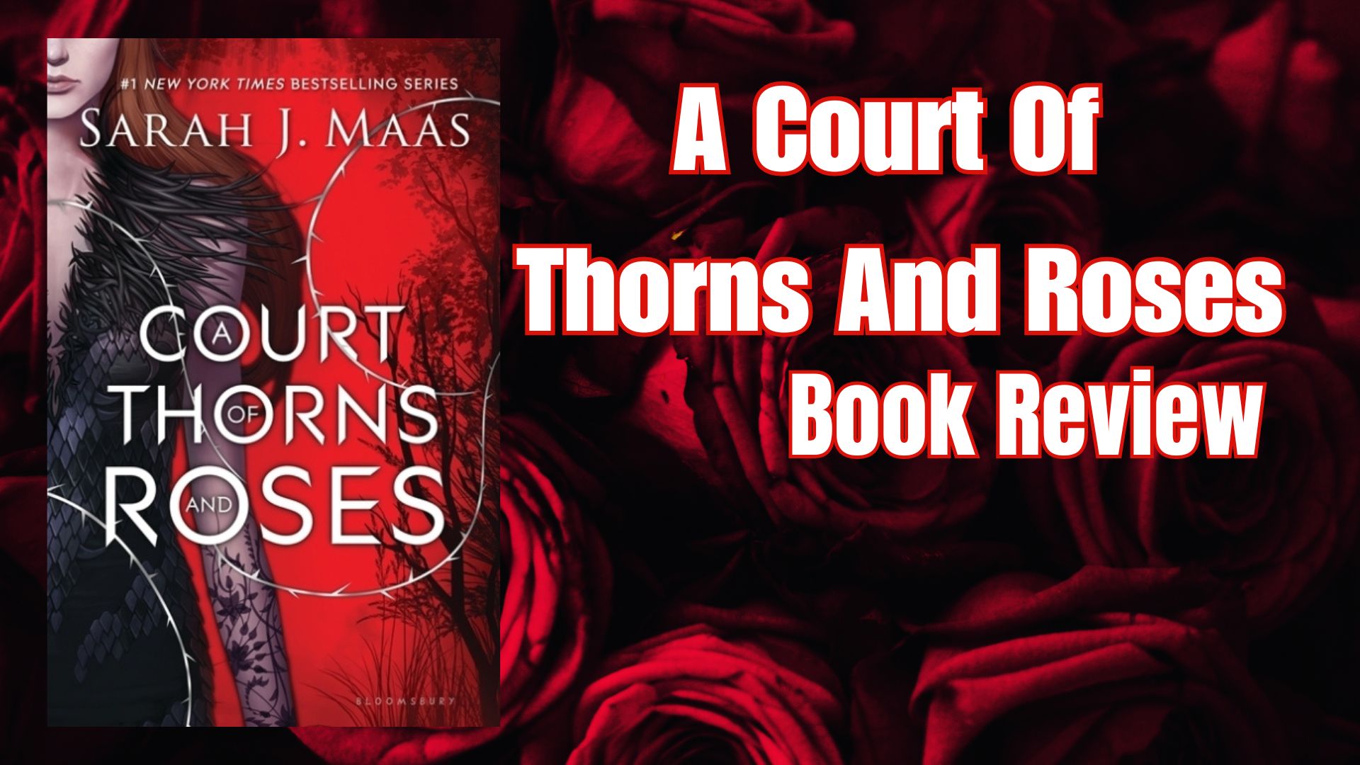 A Court Of Thorns And Roses Book Review